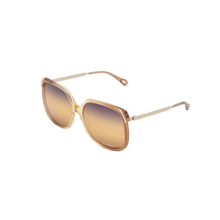 Aly Acetate Runway Sunglasses