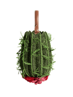 Crossbody Raffia Cactus Bag