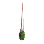 Crossbody Raffia Cactus Bag