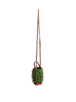 Crossbody Raffia Cactus Bag