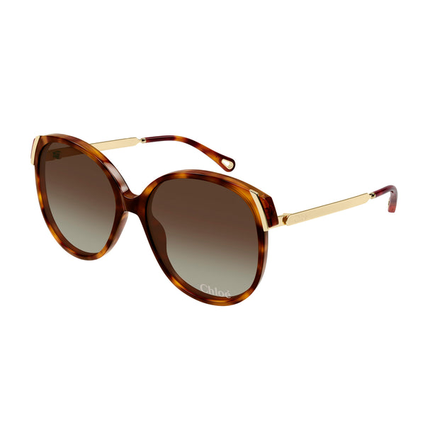 Oversized Rounded Acetate Sunglasses