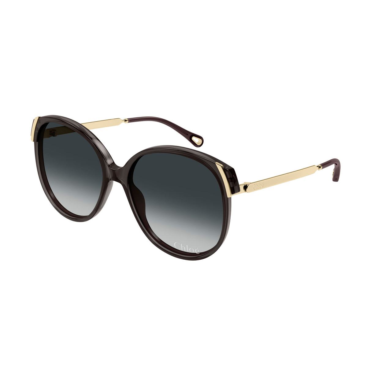 Oversized Rounded Acetate Sunglasses