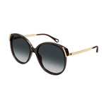 Oversized Rounded Acetate Sunglasses