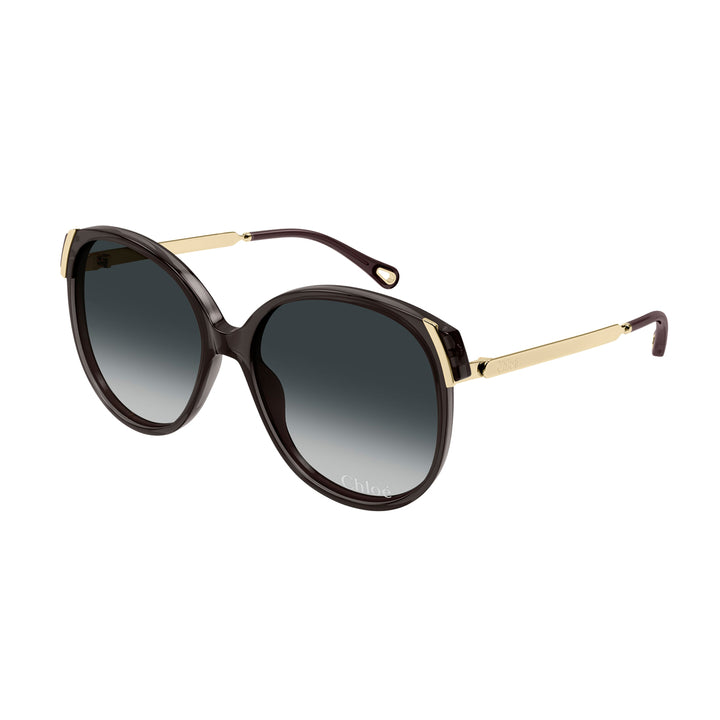 Oversized Rounded Acetate Sunglasses