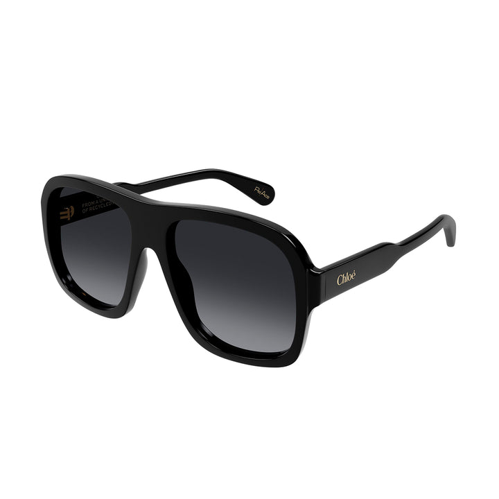 Gayia Pilot Acetate Sunglasses