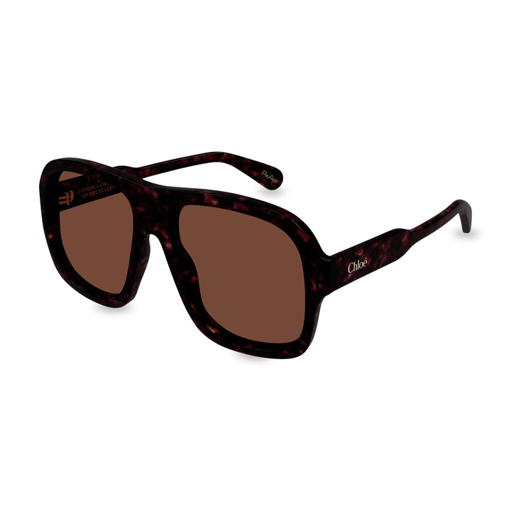 Gayia Pilot Acetate Sunglasses