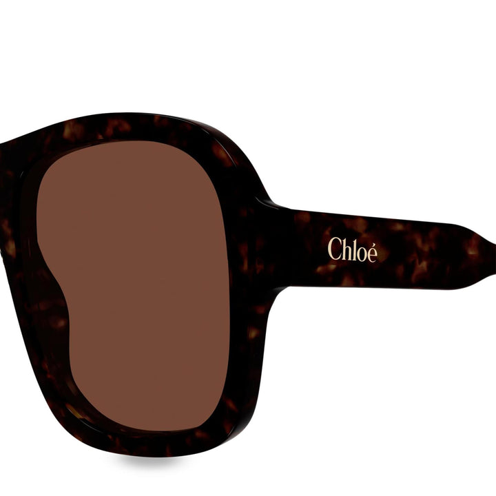 Gayia Pilot Acetate Sunglasses