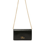 Iconic Flap Wallet on Chain