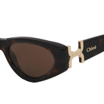 Marcie Acetate Small Cat Eye Sunglasses