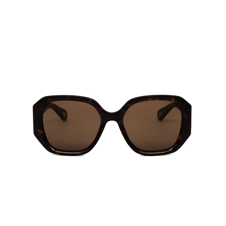 Marcie Acetate Square Sunglasses