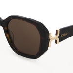 Marcie Acetate Square Sunglasses
